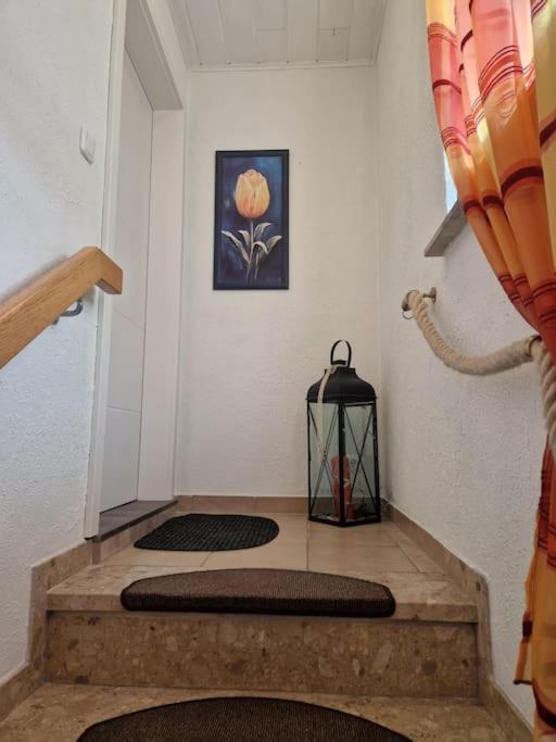 Gemuetliche 3-Zimmer-Wohnung, Zentral Gelegen Apensen Buitenkant foto
